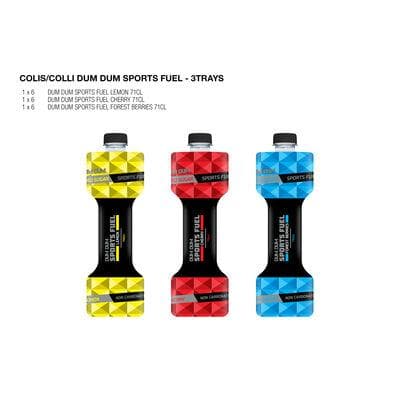 COLIS DUM DUM SPORTS FUEL 71CL 3+1 GRATIS